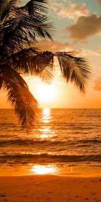 Morning Beach
